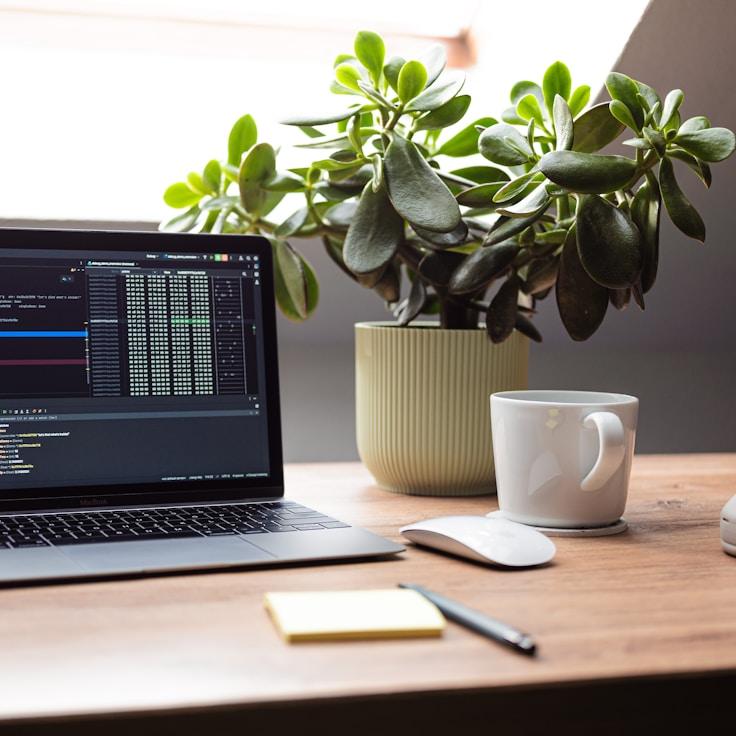 iOS application development process
